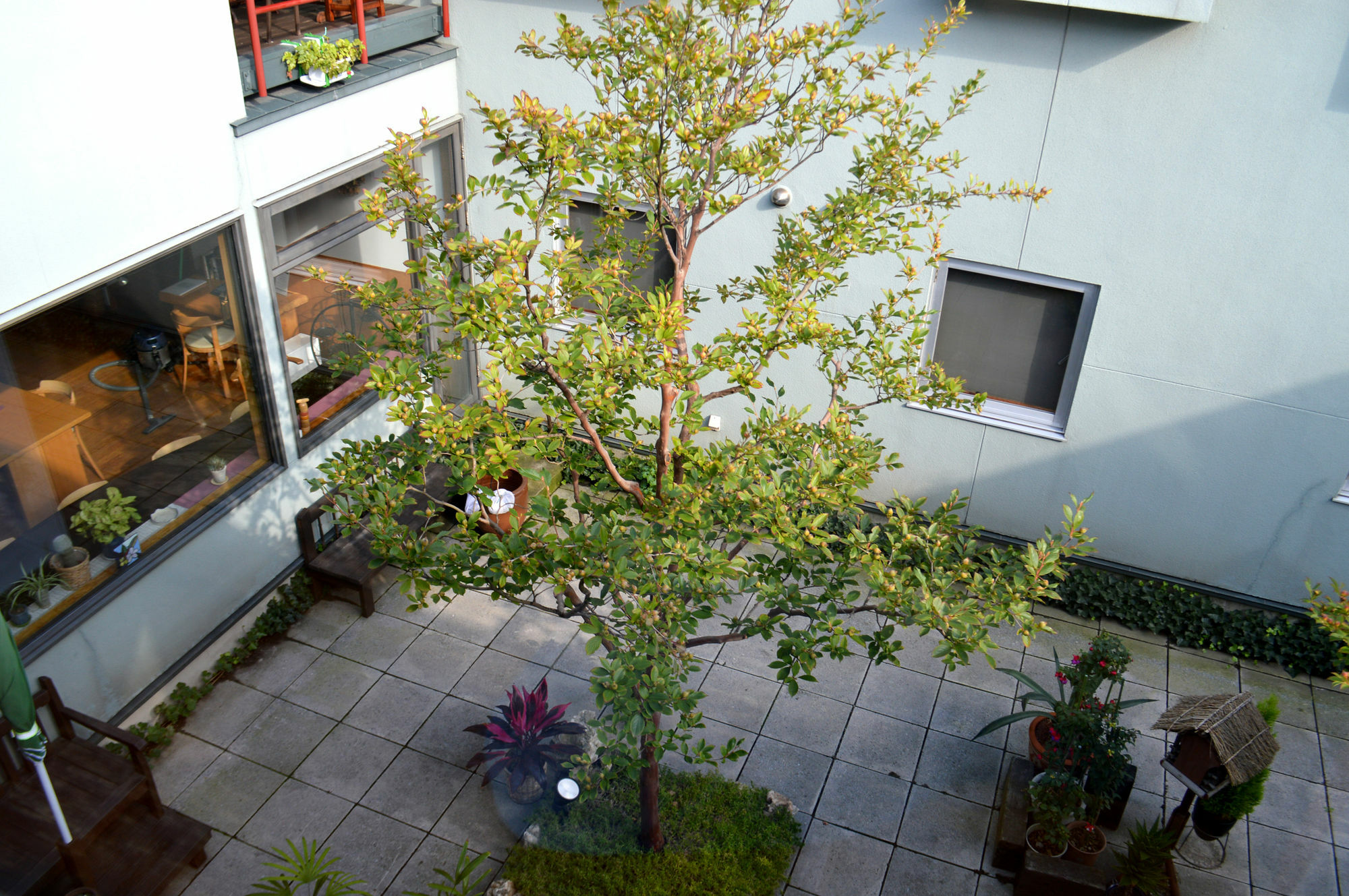 B&B Pension Hakodate-Mura Exteriör bild